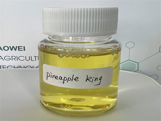 Pineapple King